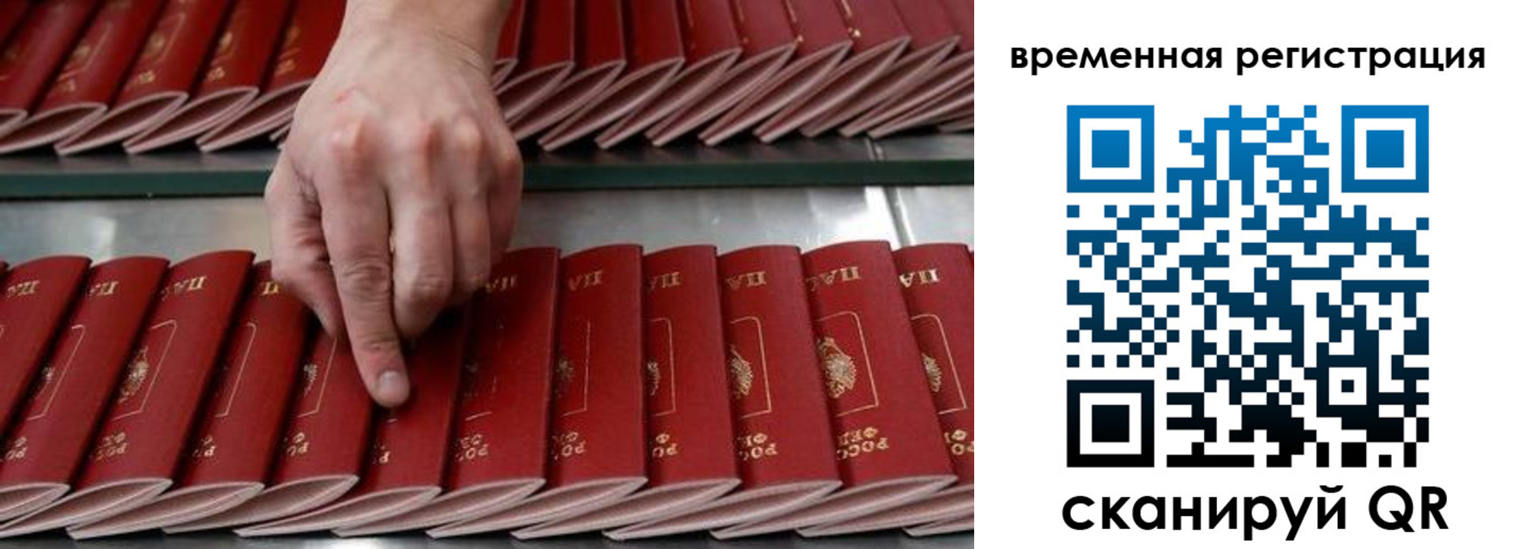 временная регистрация в квартире в Ингушетии